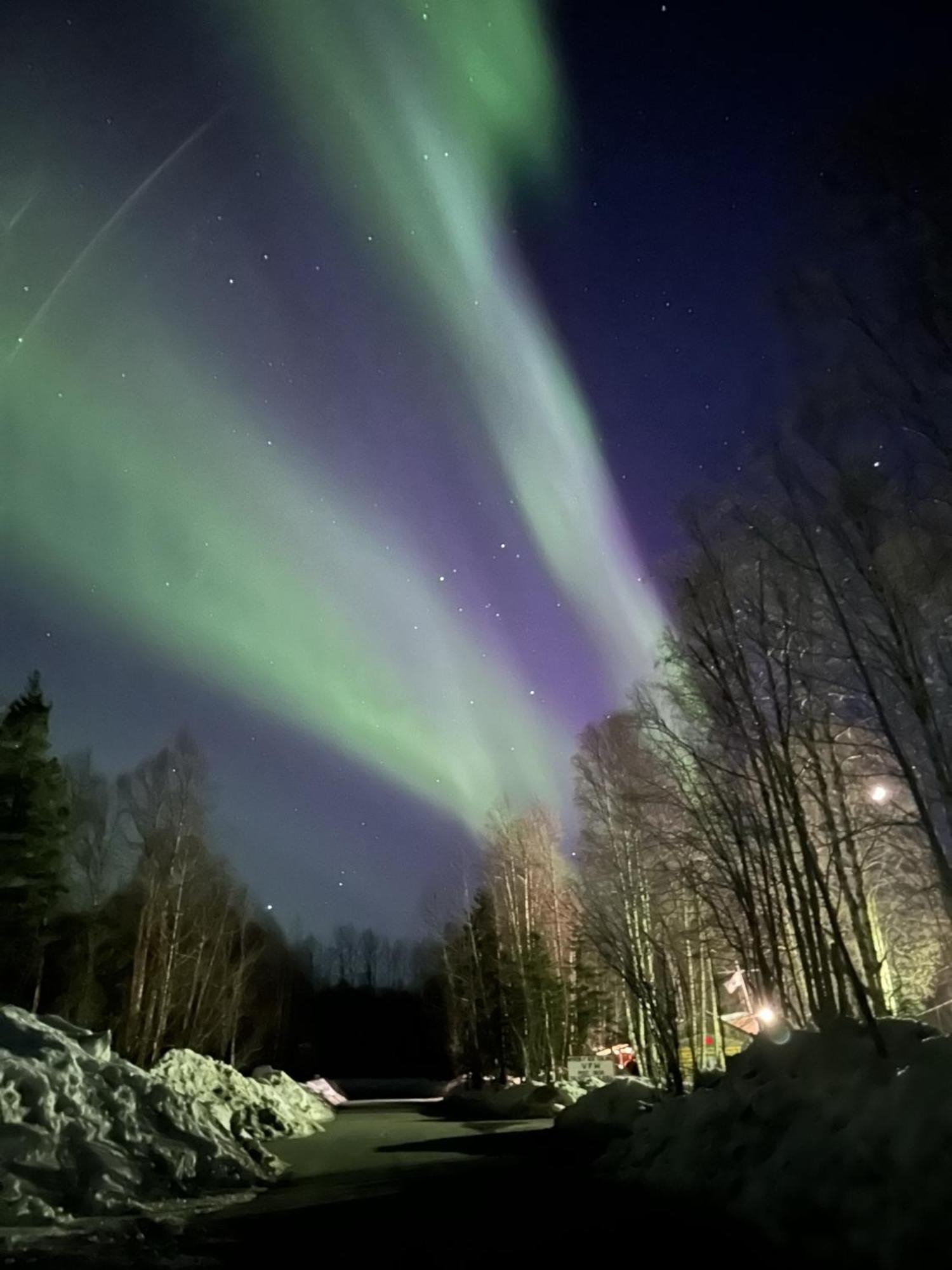 Talkeetna Villas And Tours Экстерьер фото